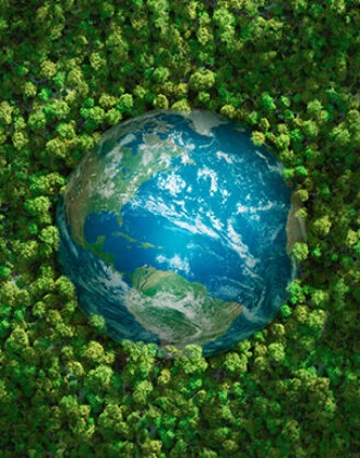Environmental Energy Safety Systems and Social